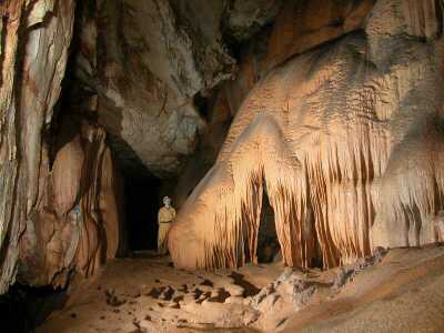 Vjetrenica cave