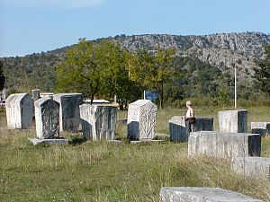 Bogomil tomb stones