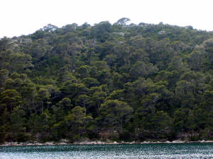 Mljet National Park